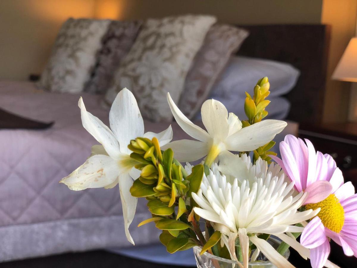 Llangwyryfon Country Breaks Bed & Breakfast Aberystwyth Ngoại thất bức ảnh