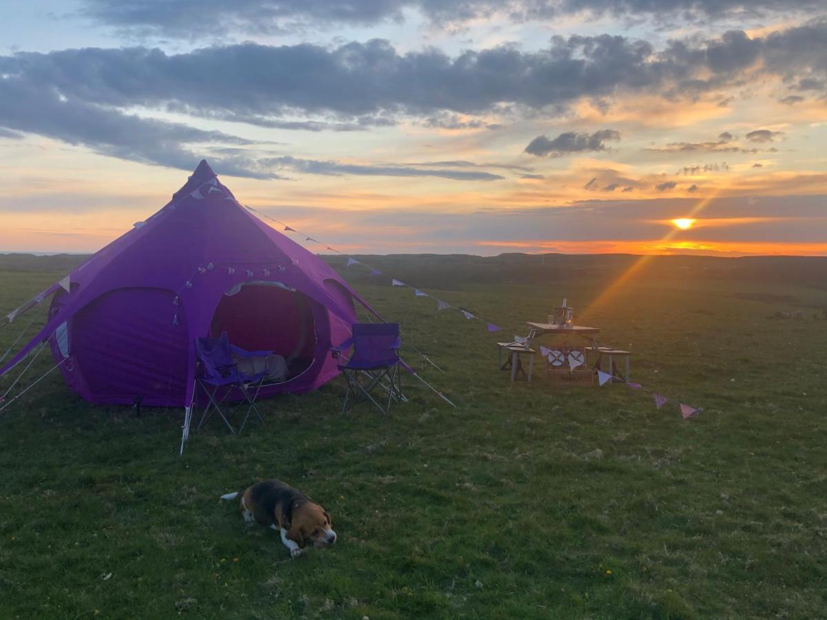 Llangwyryfon Country Breaks Bed & Breakfast Aberystwyth Ngoại thất bức ảnh