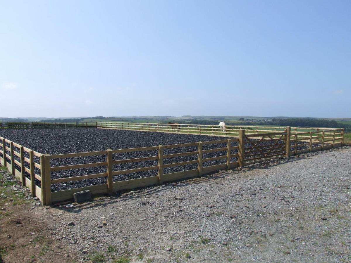 Llangwyryfon Country Breaks Bed & Breakfast Aberystwyth Ngoại thất bức ảnh