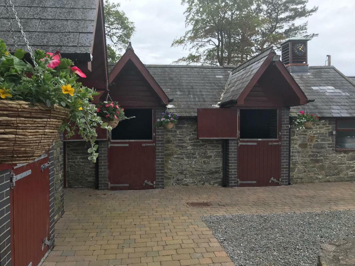 Llangwyryfon Country Breaks Bed & Breakfast Aberystwyth Ngoại thất bức ảnh