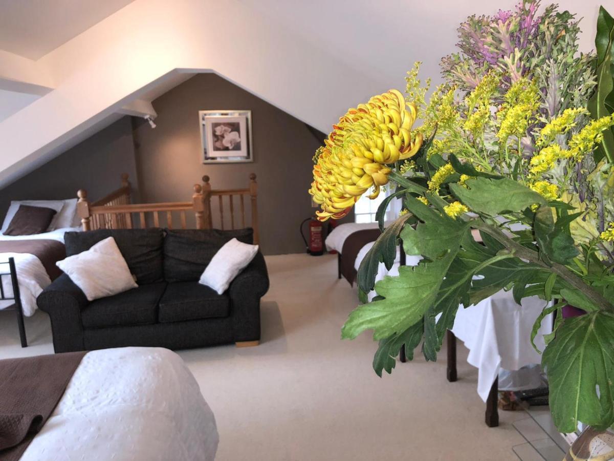 Llangwyryfon Country Breaks Bed & Breakfast Aberystwyth Ngoại thất bức ảnh