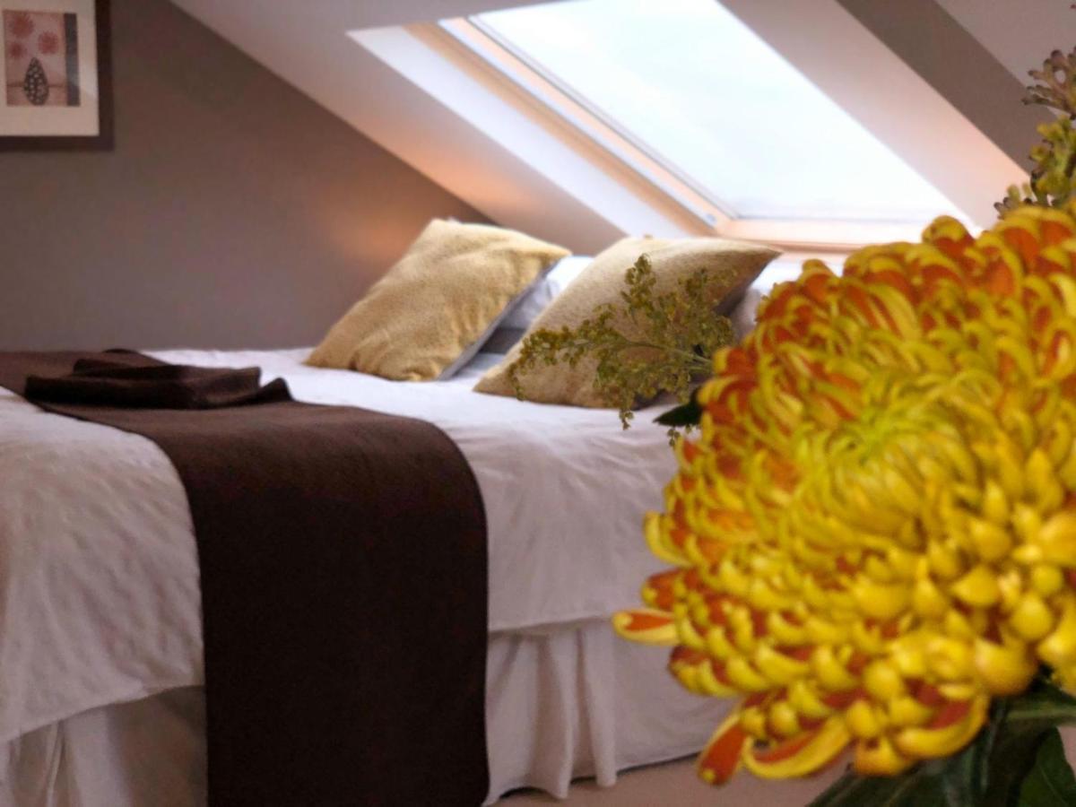 Llangwyryfon Country Breaks Bed & Breakfast Aberystwyth Ngoại thất bức ảnh